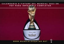 Calendario o Fixture del Mundial 2022 en PDF para Imprimir y Completar