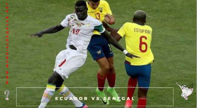 ecuador vs senegal - photo #16